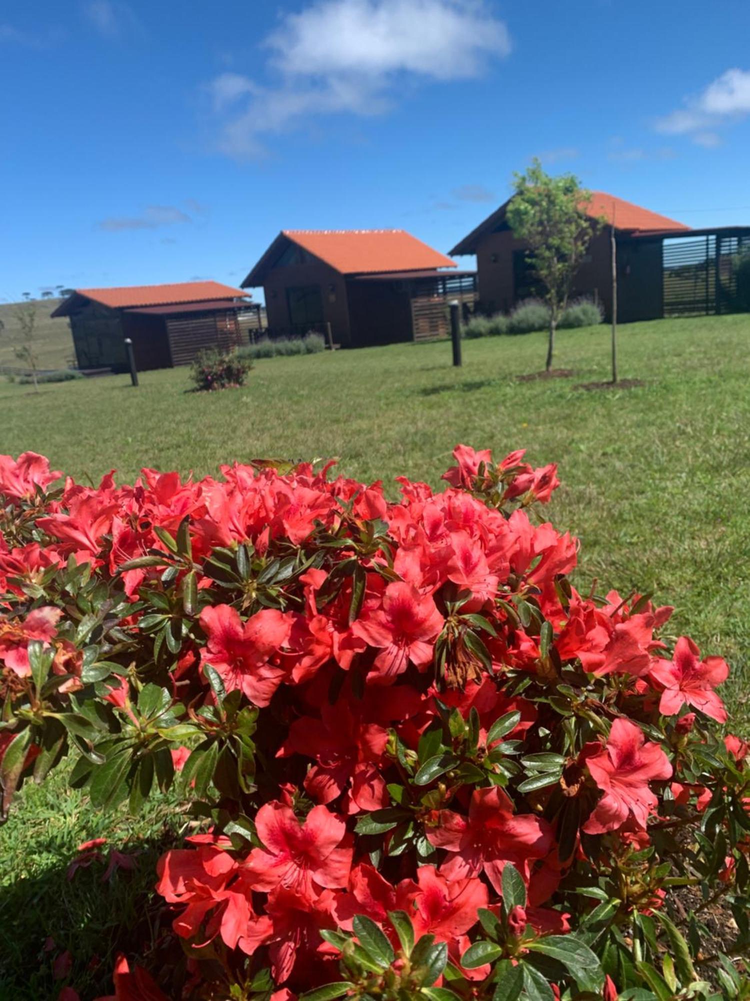 Inn Querencia Taruma Sao Joaquim (Santa Catarina)